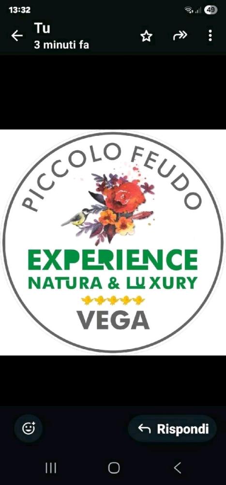 Suite Vega