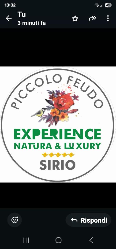 Suite siriana