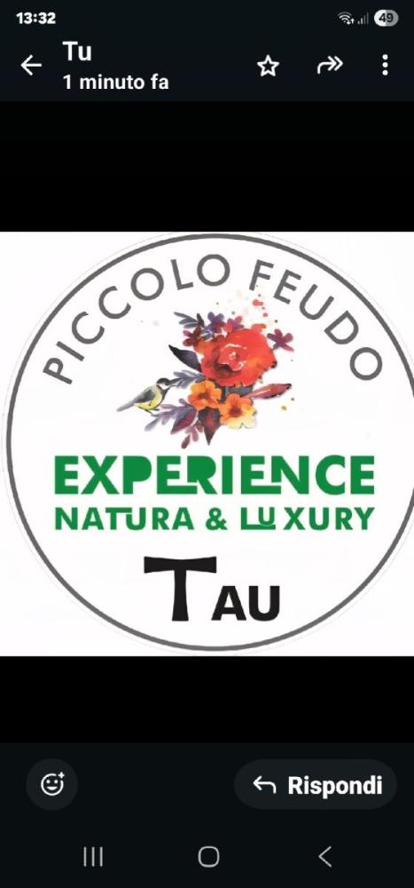 Tau superiore