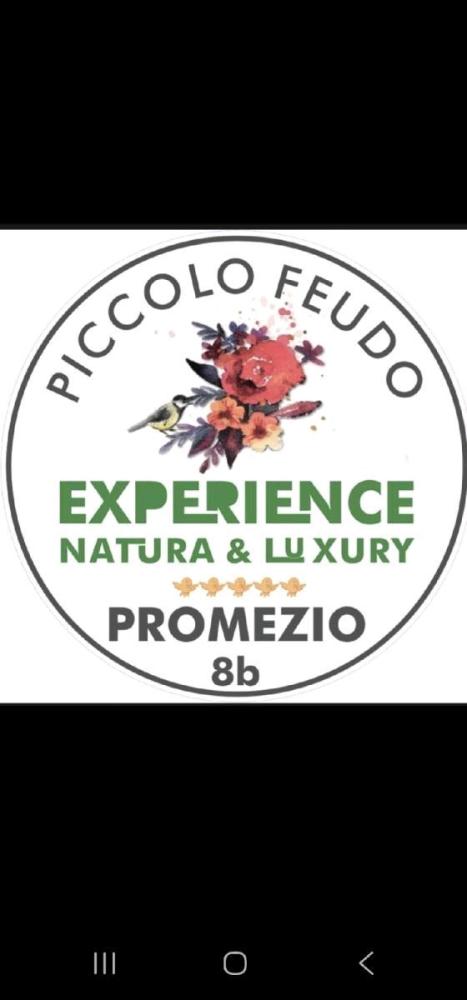 Promezio 8b Camera