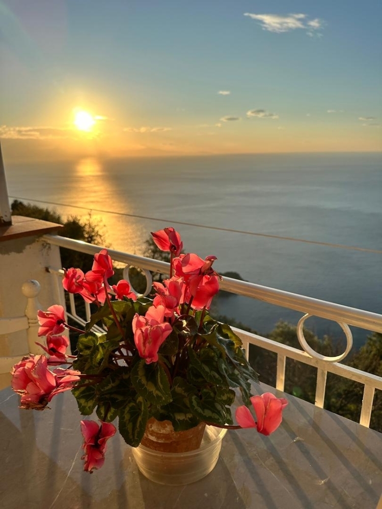 Giardino sul mare