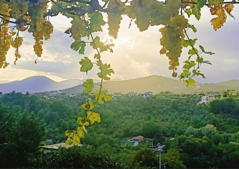 La Finestra sul Borgo