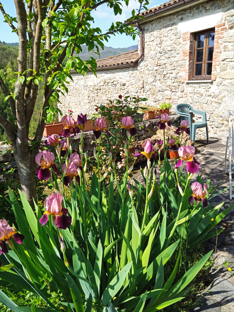 Foto di B&B Castello Malaspina di Tresana Camera matrimoniale Francesco Guglielmo a Tresana