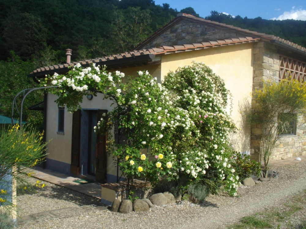 B&B Il Cielo bio - il più piccoo b&b del Chianti