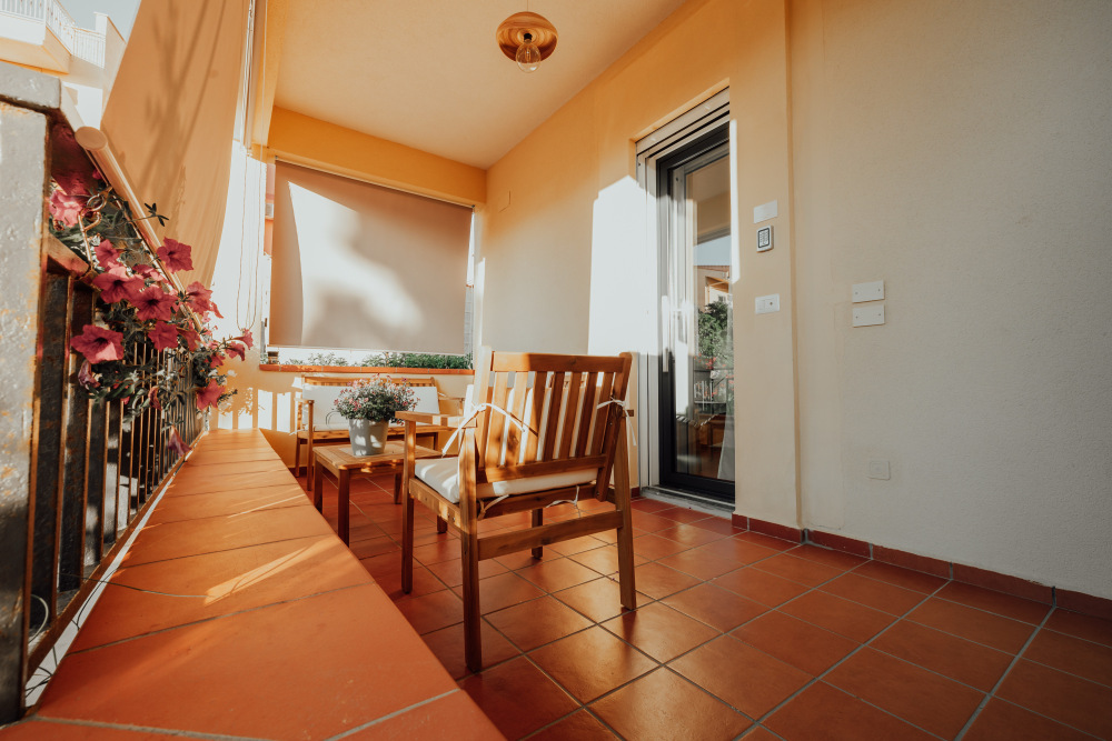 Suite le palme